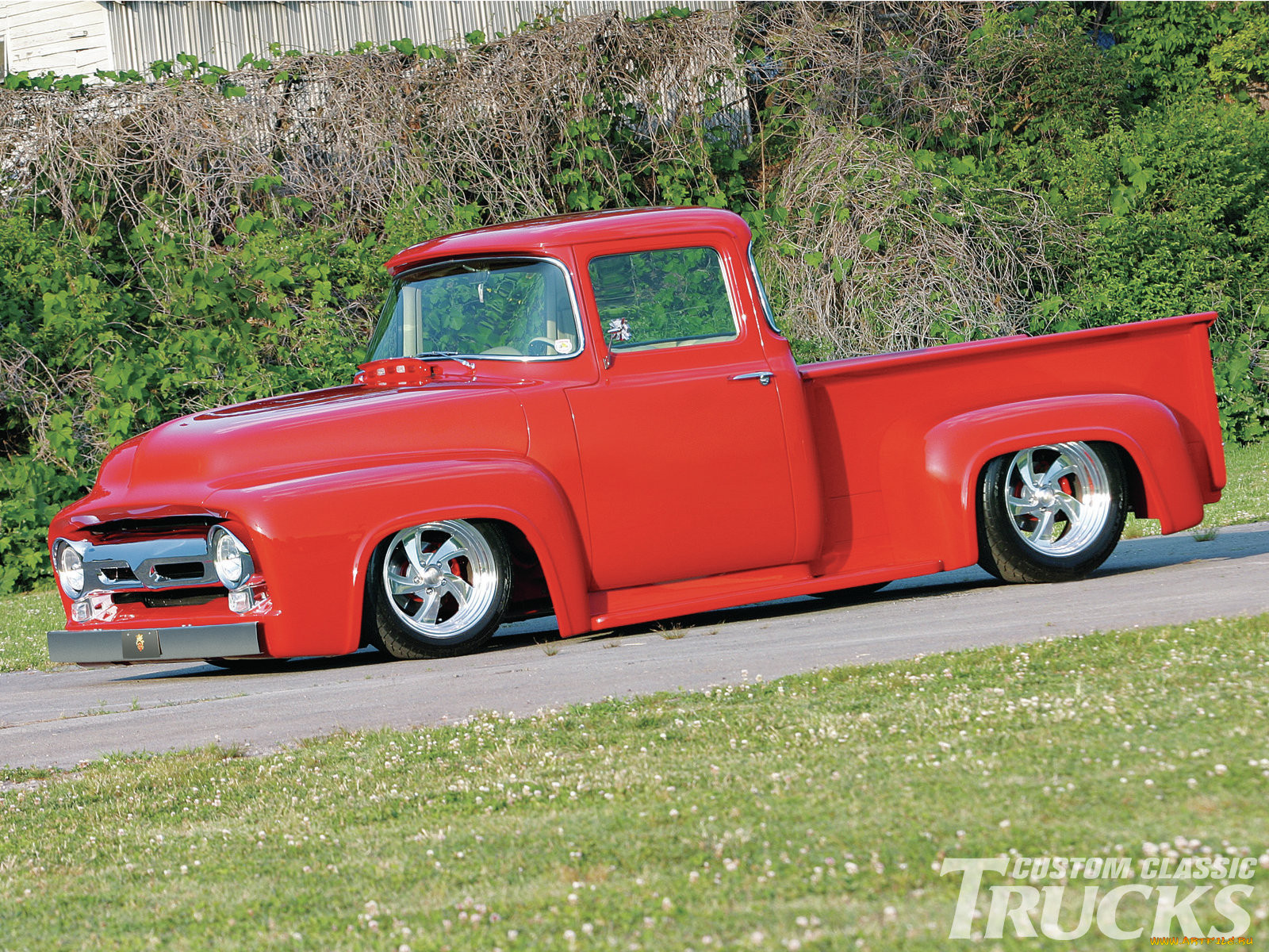 1956, ford, f100, , custom, pick, up
